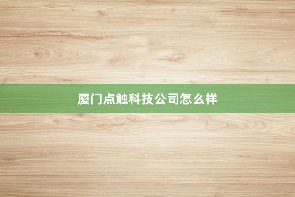 厦门点触科技公司怎么样
