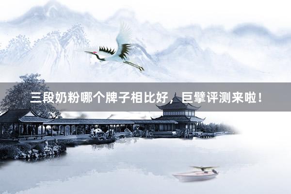 三段奶粉哪个牌子相比好，巨擘评测来啦！
