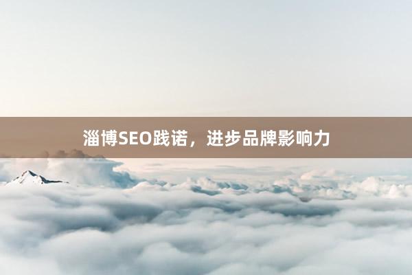 淄博SEO践诺，进步品牌影响力