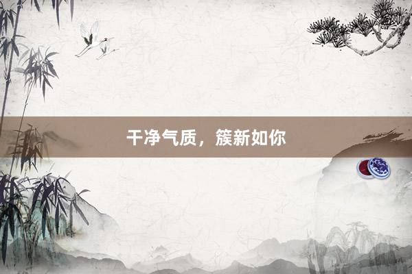 干净气质，簇新如你