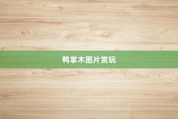 鸭掌木图片赏玩