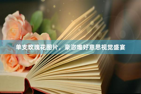 单支玫瑰花图片，豪恣唯好意思视觉盛宴