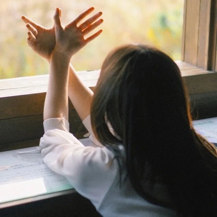 野兽家族第六季